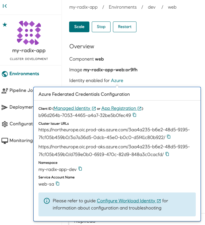 Federation trust information (multiple cluster issuer URLs)